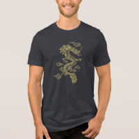 Tons or chinois Dragon