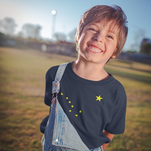 T-shirt enfant drapeau de l'Alaska