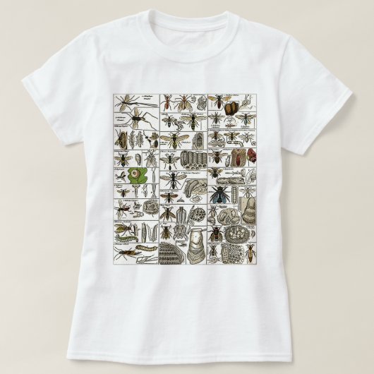 T-shirt Entomologie vintage (Design devant)