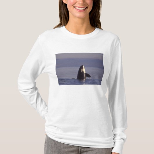 T-shirt Épaulard émergeant (Orque orcinus) près (Devant)