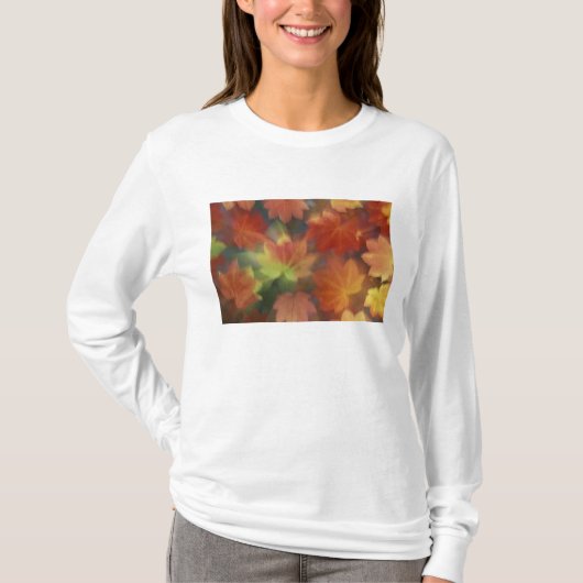 T-shirt Érable à feuilles de vigne (Devant)