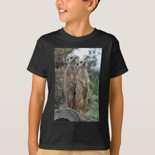 T-shirt Erdmännchen Dreamteam (Devant)