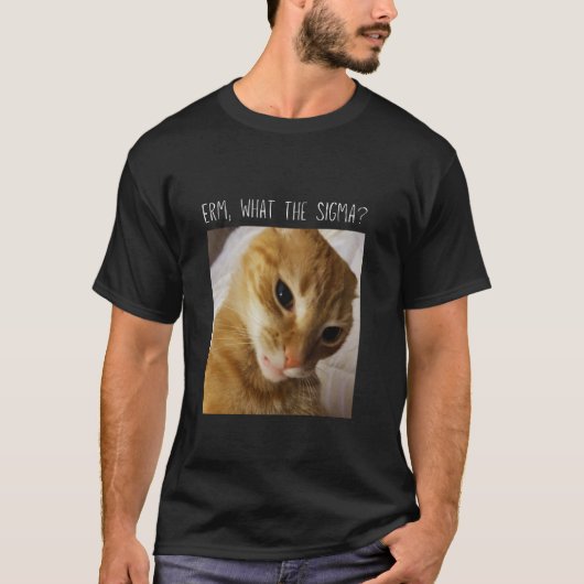 T-shirt Erm, What the Sigma Mème de chat drôle (Devant)