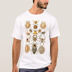 T-shirt Ernst Haeckel - arachnides
