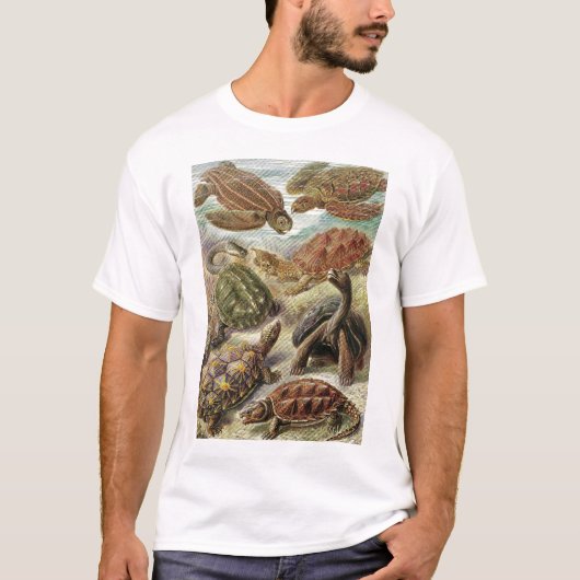 T-shirt Ernst Haeckel - Chelonia (Devant)