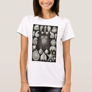 T-shirt Ernst Haeckel Thalamphora