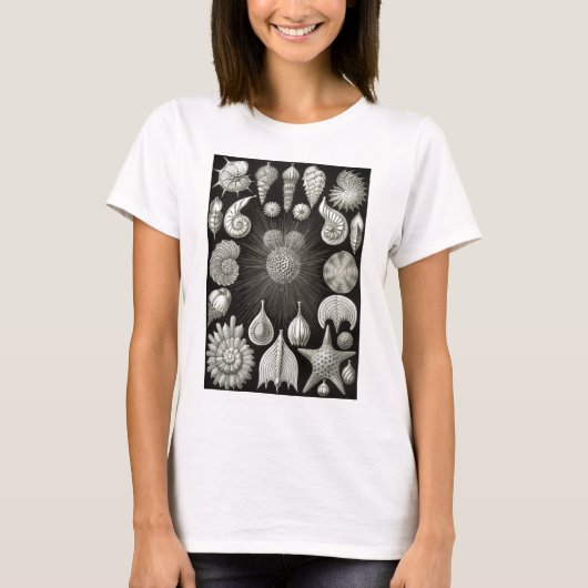 T-shirt Ernst Haeckel Thalamphora (Devant)