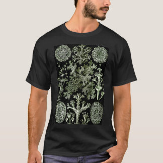 T-shirt Ernst Haeckel Vintage Illustration biologique Lich