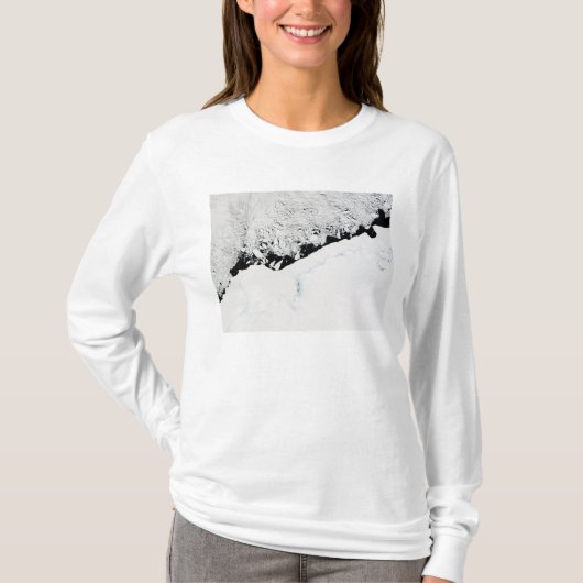 T-shirt Est de l'Antarctique - Terre-Neuve-et-Labrador (Devant)