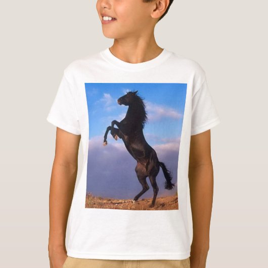 T-shirt Étalon noir sauvage élevant le cheval (Devant)