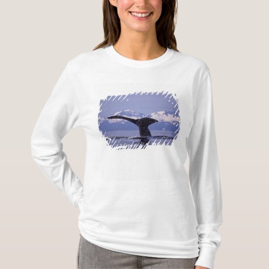 T-shirt États-Unis, Alaska, baleine à bosse du passage int (Devant)