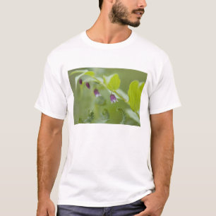 T-shirt États-Unis, Alaska, Glacier Bay National Park.