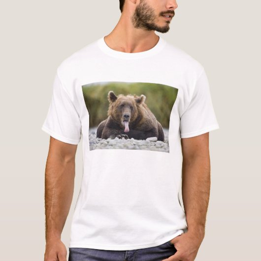 T-shirt États-Unis, Alaska, Parc national de Katmai, baie  (Devant)