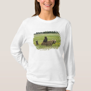 T-shirt États-Unis, Alaska, parc national de Lake Clark