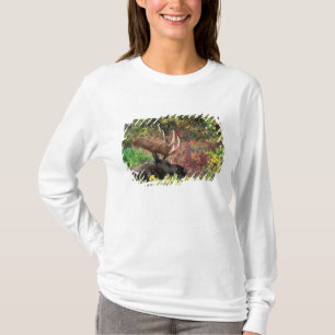 T-shirt États-Unis, Alaska, Parc national Denali, Orignal
