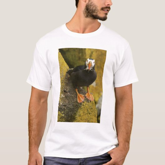 T-shirt États-Unis, Alaska, Pribilof Islands, St Paul. Tuf (Devant)