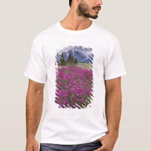 T-shirt États-Unis, Alaska, vallée de la rivière Alsek. Vu