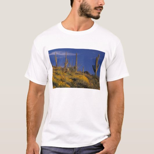 T-shirt États-Unis, Arizona, Organ Pipe Cactus National 2 (Devant)