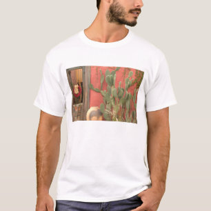 T-shirt États-Unis, Arizona, Tucson : Presidio Historic Di