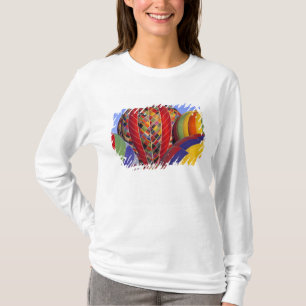 T-shirt États-Unis, Arizona, Val Vista. Montgolfière color