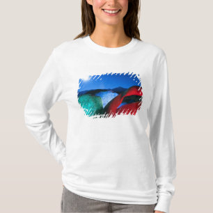 T-shirt États-Unis, Californie, Alabama Hills, Photo noctu