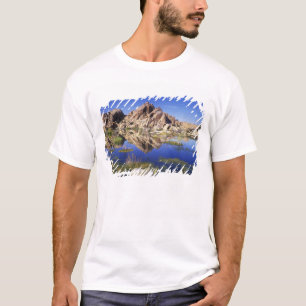 T-shirt États-Unis, Californie, Parc national de Joshua Tr