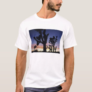 T-shirt États-Unis, Californie, Parc national de Joshua Tr
