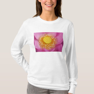 T-shirt États-Unis; Caroline du Nord; Lotus en fleurs dans