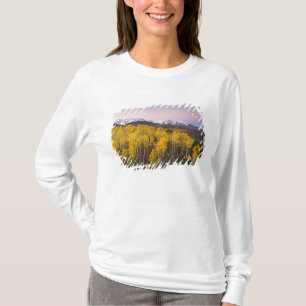 T-shirt États-Unis, Colorado, montagnes Rocheuses. L'aube