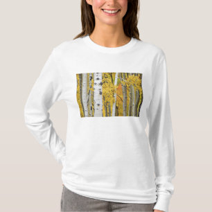 T-shirt États-Unis, Colorado, Montagnes Rocheuses. Trembl