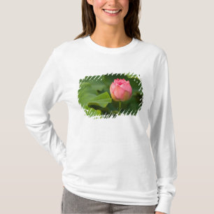 T-shirt États-Unis, DC, Washington, Kenilworth
