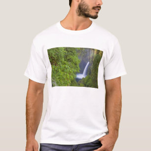 T-shirt États-Unis, Eagle Creek, Columbia Gorge, Oregon. 2