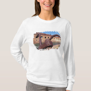 T-shirt États-Unis, FL, Florida Keys, Fort Jefferson, 1846