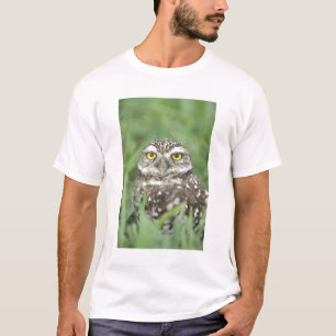 T-shirt États-Unis, Floride, Cape Coral, Chevêche des terr