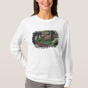 T-shirt États-Unis, Géorgie, Callaway Gardens. Allée