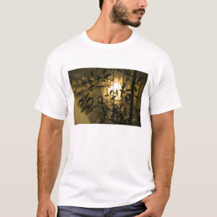 T-shirt États-Unis, Géorgie, Callaway Gardens, Lever du so