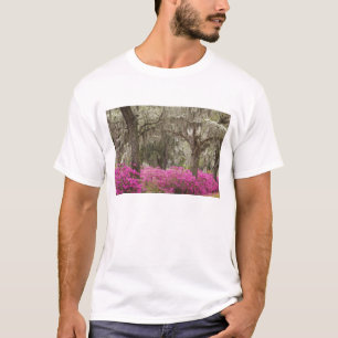 T-shirt États-Unis, Géorgie, Savannah, Printemps à l'histo