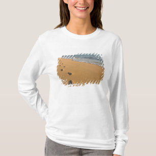 T-shirt États-Unis, Hawaï, Kauai, Kapa'a, bord de mer. RF)