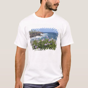 T-shirt États-Unis, Hawaï, Kauai, près de Kapaa, nord-oues