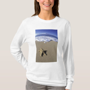T-shirt États-Unis, Hawaï, Maui, Makena Beach, Étoile de m