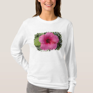 T-shirt États-Unis, Hawaï, Oahu. L'Hibiscus est le 2