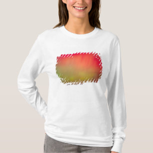 T-shirt États-Unis, Idaho. Aurore boréale à 2