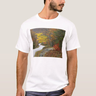 T-shirt États-Unis, Maine, Camden. Route traversant Camden