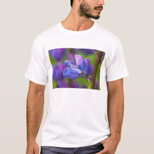 T-shirt États-Unis, Maine, Parc national d'Acadia. Gros pl