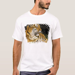 T-shirt États-Unis, Michigan, Detroit. Zoo de Detroit, tig