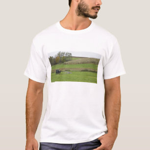 T-shirt États-Unis, nord-est de l'Ohio. Buggy amish dans u