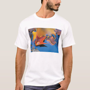 T-shirt États-Unis, Nord-Est, Feuille d'érable en réflexio