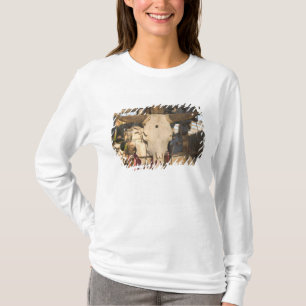 T-shirt États-Unis, Nouveau-Mexique, Mesilla: Place histor