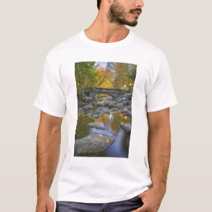 T-shirt États-Unis, Oregon, Ashland, Lithia Park. Automne