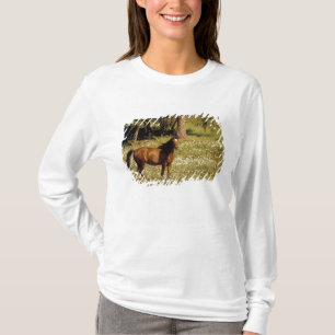 T-shirt États-Unis, Oregon. Cheval dans un champ de pâquer